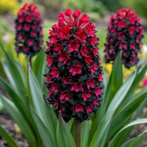 Гиацинт Джем Стоун купить по цене от 2099р. в интернет-магазине «Посадика» с доставкой почтой в в Борзяе и по всей России – [изображение №1].