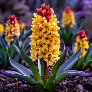 Гиацинт Миднайт Мистери купить по цене от 2099р. в интернет-магазине «Посадика» с доставкой почтой в в Борзяе и по всей России – [изображение №1].