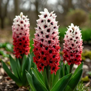 Гиацинт Скай Гарден купить по цене от 2099р. в интернет-магазине «Посадика» с доставкой почтой в в Борзяе и по всей России – [изображение №1].